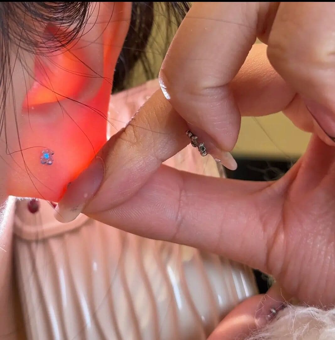 Cute Colorful Resin Bear Ear Stud Ear Piercing Needle