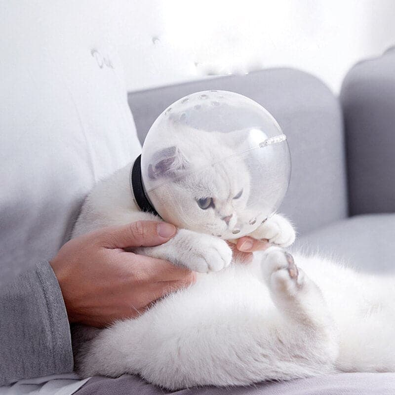 Cat Muzzle Anti Bite Breathable Grooming Mask Muzzles for Bath Travel Tool Kitten Grooming Supplies