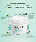 Whitening Freckle Cream  Dark Spots Face Moisturizing Dr.Hancy  Skin Care