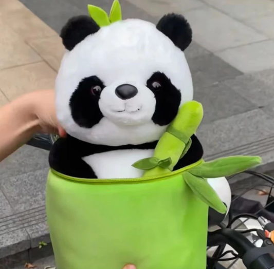 Panda In A Bamboo Plush