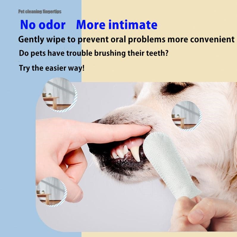 50 Pieces Dog and Cat Finger Wipes Pets Clean Teeth and Gums to Remove Tartar Fresh Breath