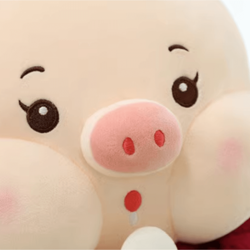 Transformation Pig Doll Plush Toy Ragdoll Child Companion Doll Birthday Gift