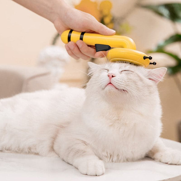 Bee Pet Brush Self Cleaning Slicker Brush for Dog Cat Grooming Comb Removes Loose Under layers Tangled Hair