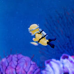 Fish Tank Landscaping Ornament Floating Diver