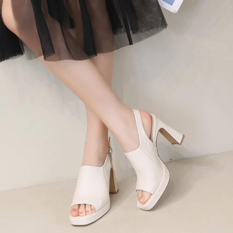Fish Mouth High Heels Female Thick Heels 2023 Spring New Roman Shoes