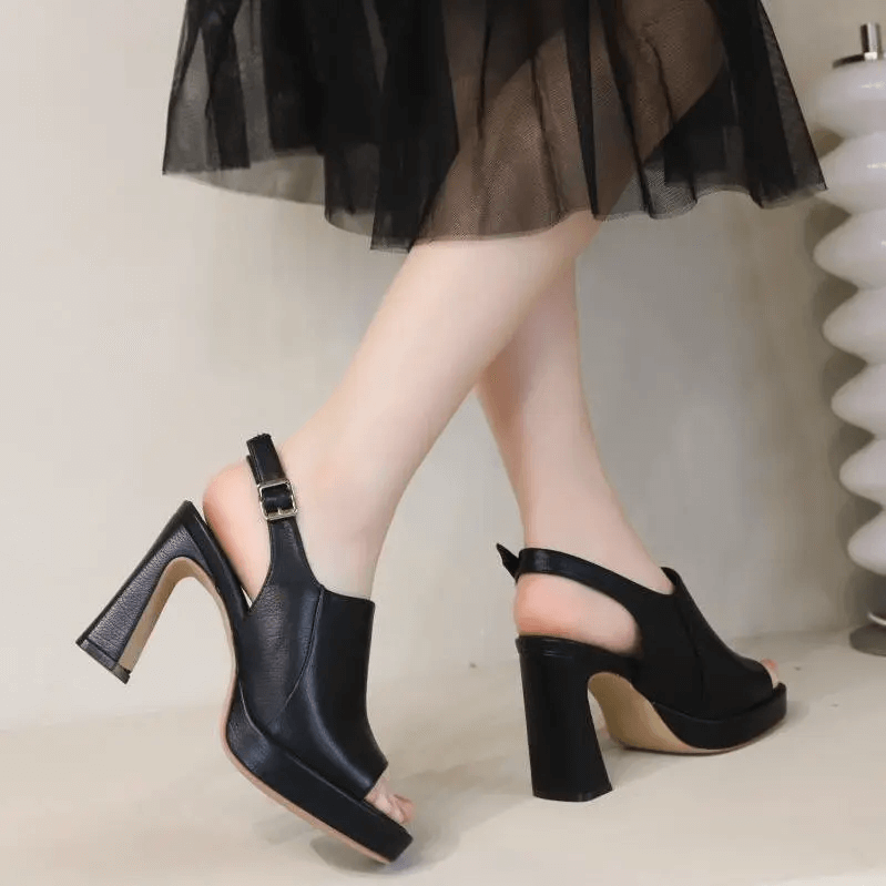 Fish Mouth High Heels Female Thick Heels 2023 Spring New Roman Shoes