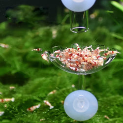 Aquarium Fish Tank Shrimp Food Feeder Clear Glass Feeding Tube Dish Suction Air Shrimp Bowl Feeder Tube forFish Tank Feeder Tray