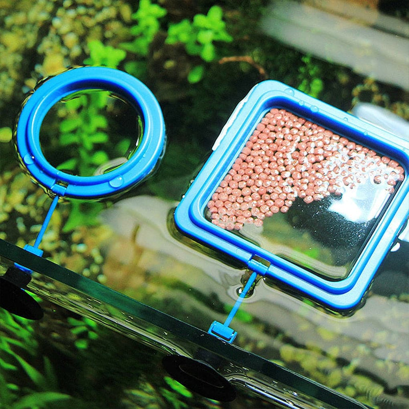 Aquarium Feeding Ring Fish Tank Station Floating Food Tray Feeder Square Circle Accessory Fish Food Feeder Suction Cup Black