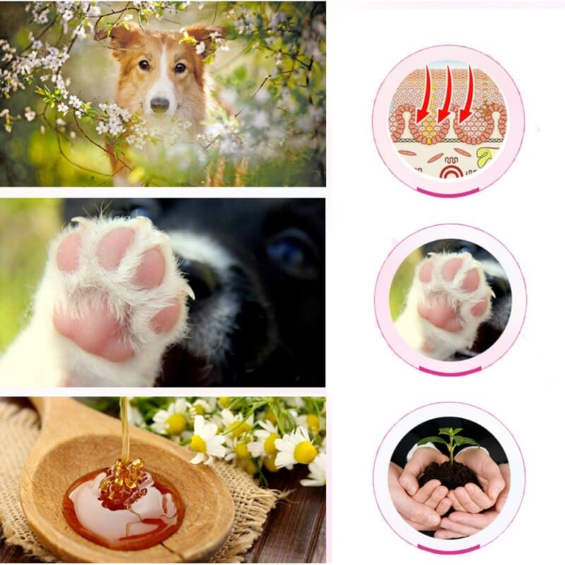 Safety Health Anti-cracking Pet Paw Care Creams Ointment for Dog Cat Paw Moisturizing Protection Forefoot Toe Pet Products