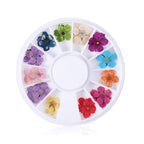 1 Set Natural Floral Nail Art Decorations Mixed Color Nail Decal Jewelry Dried Flower Accessories For DIY Manicure Design