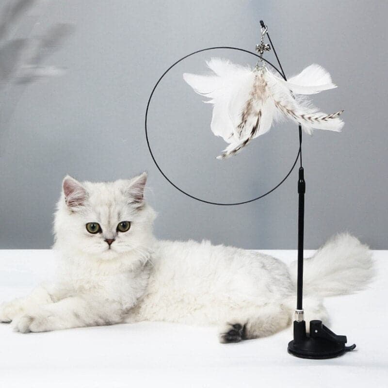 Cat Toy Stick Feather Wand with Bell Steel Wire Interactive Kittens Teaser Indoor Sucker Cats Exercise Toy Pet Cat Supplies